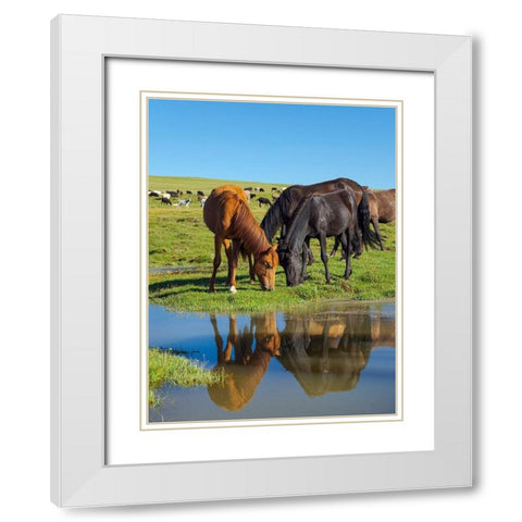 Horses on their mountain pasture at lake Song Kol  White Modern Wood Framed Art Print with Double Matting by Zwick, Martin