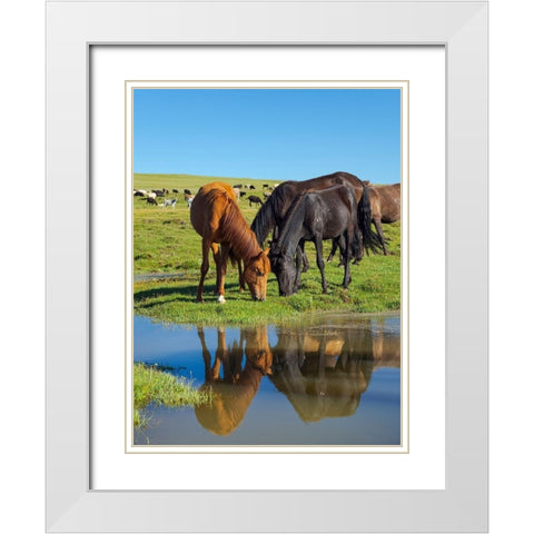 Horses on their mountain pasture at lake Song Kol  White Modern Wood Framed Art Print with Double Matting by Zwick, Martin