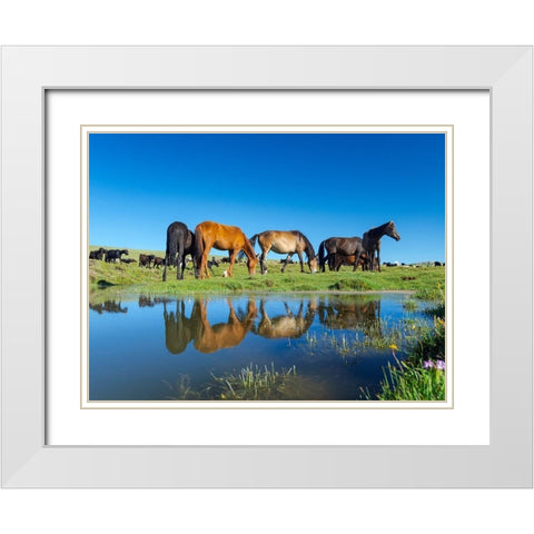 Horses on their mountain pasture at lake Song Kol  White Modern Wood Framed Art Print with Double Matting by Zwick, Martin
