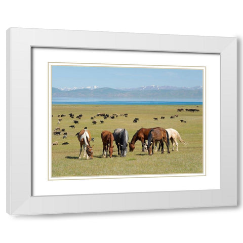 Horses on their mountain pasture at lake Song Kol  White Modern Wood Framed Art Print with Double Matting by Zwick, Martin