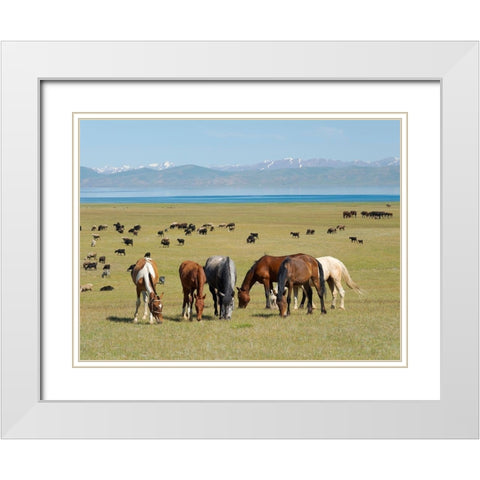 Horses on their mountain pasture at lake Song Kol  White Modern Wood Framed Art Print with Double Matting by Zwick, Martin