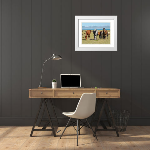 Horses on their mountain pasture at lake Song Kol  White Modern Wood Framed Art Print with Double Matting by Zwick, Martin