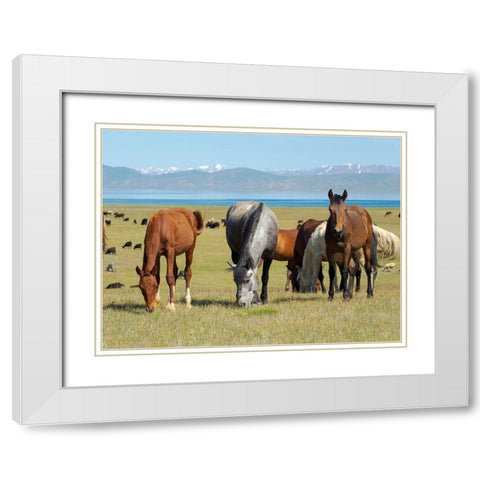 Horses on their mountain pasture at lake Song Kol  White Modern Wood Framed Art Print with Double Matting by Zwick, Martin
