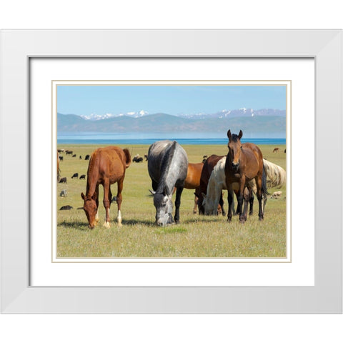 Horses on their mountain pasture at lake Song Kol  White Modern Wood Framed Art Print with Double Matting by Zwick, Martin