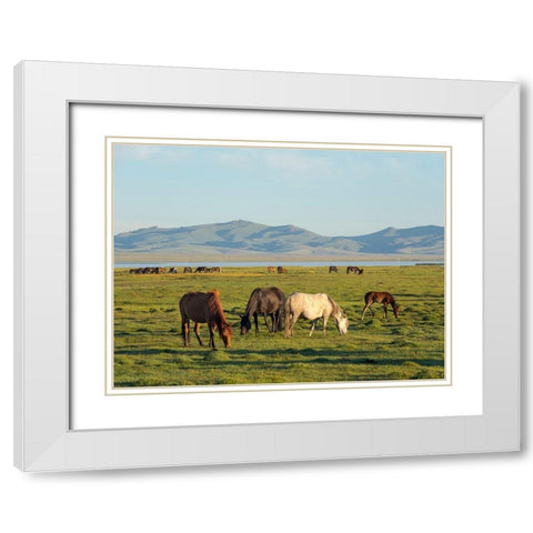 Horses on their mountain pasture at lake Song Kol  White Modern Wood Framed Art Print with Double Matting by Zwick, Martin