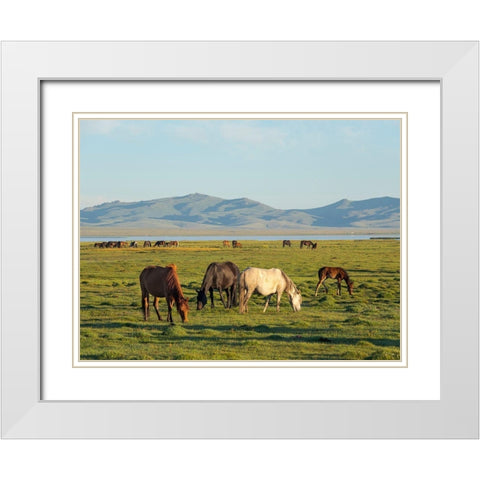 Horses on their mountain pasture at lake Song Kol  White Modern Wood Framed Art Print with Double Matting by Zwick, Martin