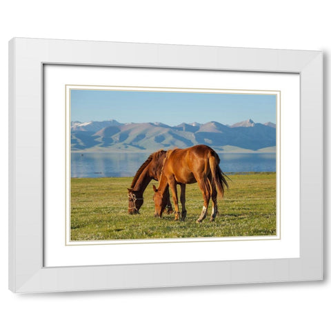 Horses on their mountain pasture at lake Song Kol  White Modern Wood Framed Art Print with Double Matting by Zwick, Martin