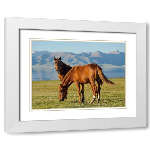 Horses on their mountain pasture at lake Song Kol  White Modern Wood Framed Art Print with Double Matting by Zwick, Martin