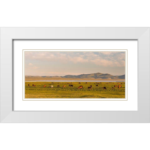 Horses on their mountain pasture at lake Song Kol  White Modern Wood Framed Art Print with Double Matting by Zwick, Martin