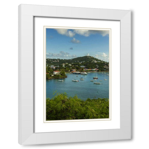 Caribbean, USA Virgin Islands, St John Cruz Bay White Modern Wood Framed Art Print with Double Matting by Illg, Cathy and Gordon