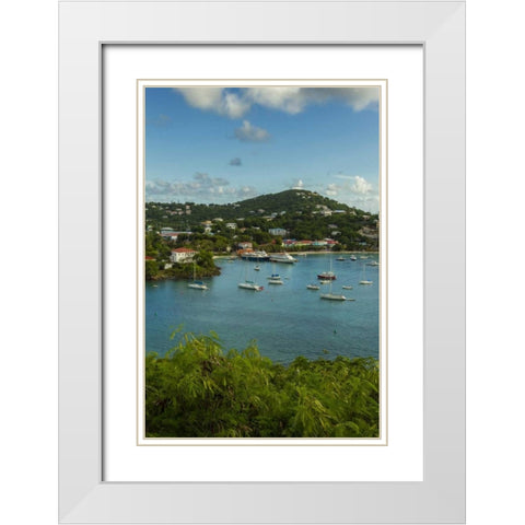 Caribbean, USA Virgin Islands, St John Cruz Bay White Modern Wood Framed Art Print with Double Matting by Illg, Cathy and Gordon