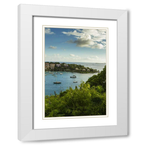 Caribbean, USA Virgin Islands, St John Cruz Bay White Modern Wood Framed Art Print with Double Matting by Illg, Cathy and Gordon