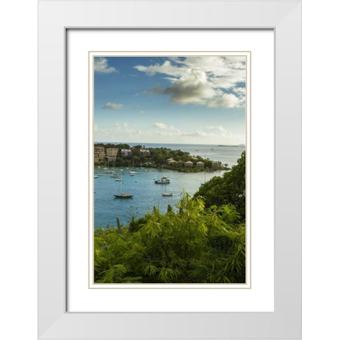 Caribbean, USA Virgin Islands, St John Cruz Bay White Modern Wood Framed Art Print with Double Matting by Illg, Cathy and Gordon