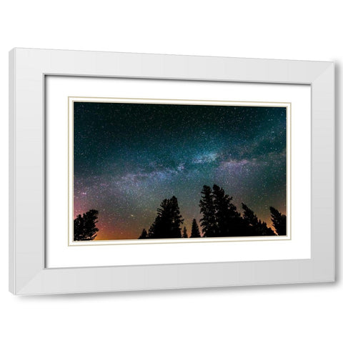 Canada-Manitoba-Milky Way Galaxy and starry night with white spruce in foreground White Modern Wood Framed Art Print with Double Matting by Jaynes Gallery