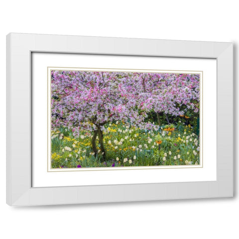 France, Giverny spring in Claude Monets garden White Modern Wood Framed Art Print with Double Matting by Needle, Charles