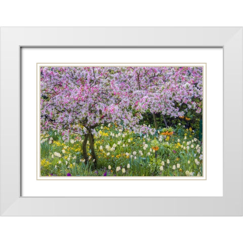 France, Giverny spring in Claude Monets garden White Modern Wood Framed Art Print with Double Matting by Needle, Charles