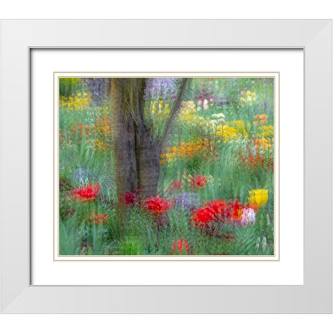 France-Giverny Impression of flowers in Monets Garden White Modern Wood Framed Art Print with Double Matting by Jaynes Gallery