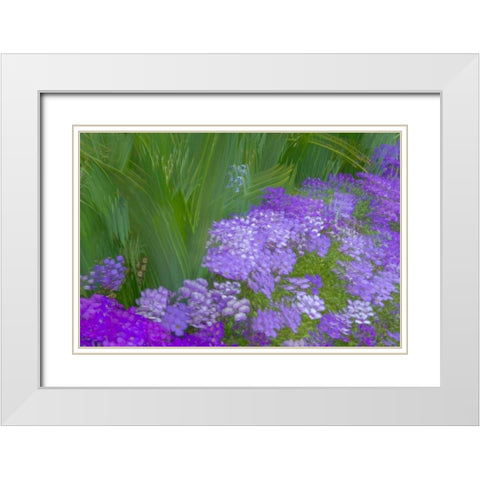 France-Giverny Impression of flowers in Monets Garden White Modern Wood Framed Art Print with Double Matting by Jaynes Gallery