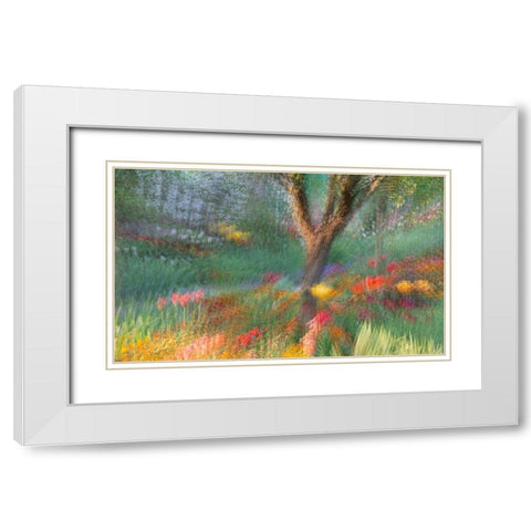 France-Giverny Impression of flowers in Monets Garden White Modern Wood Framed Art Print with Double Matting by Jaynes Gallery