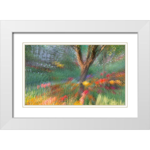 France-Giverny Impression of flowers in Monets Garden White Modern Wood Framed Art Print with Double Matting by Jaynes Gallery