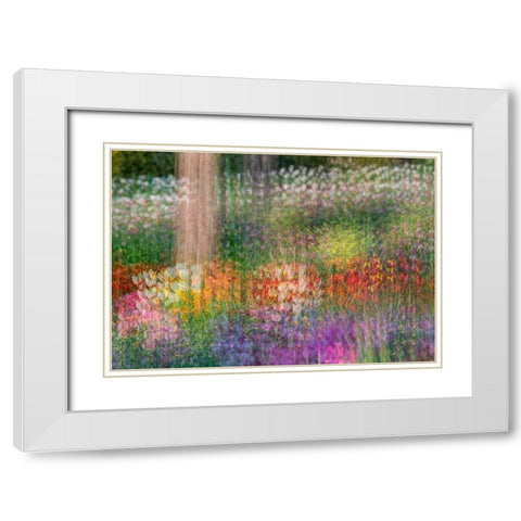 France-Giverny Impression of flowers in Monets Garden White Modern Wood Framed Art Print with Double Matting by Jaynes Gallery