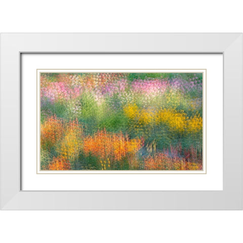 France-Giverny Impression of flowers in Monets Garden White Modern Wood Framed Art Print with Double Matting by Jaynes Gallery