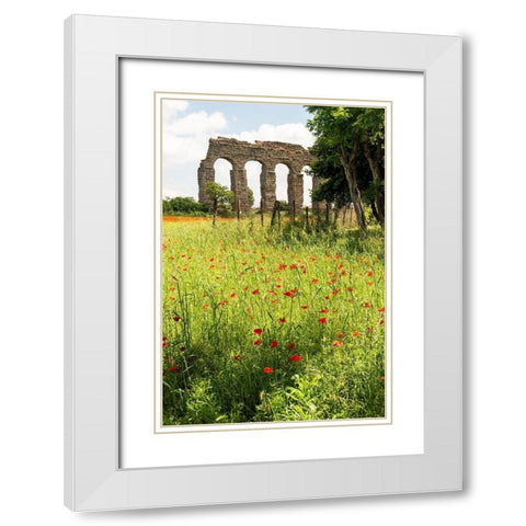 Italy-Rome Parc of the Aqueducts (Parco degli Acquedotti)-Acqua Claudio White Modern Wood Framed Art Print with Double Matting by Jones, Alison