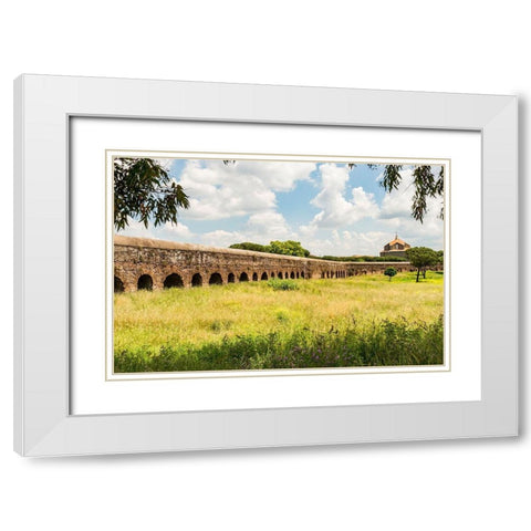 Italy-Rome Parc of the Aqueducts (Parco degli Acquedotti),Acquedotto Felice White Modern Wood Framed Art Print with Double Matting by Jones, Alison