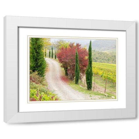 Italy-Chianti Gravel road winding through a vineyard in autumn in the Chianti region of Tuscany White Modern Wood Framed Art Print with Double Matting by Eggers, Julie