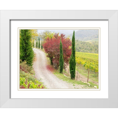 Italy-Chianti Gravel road winding through a vineyard in autumn in the Chianti region of Tuscany White Modern Wood Framed Art Print with Double Matting by Eggers, Julie