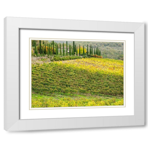Italy-Chianti Vineyard in autumn in the Chianti region of Tuscany White Modern Wood Framed Art Print with Double Matting by Eggers, Julie