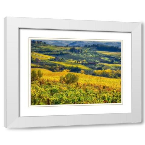 Italy-Chianti Vineyard in autumn in the Chianti region of Tuscany White Modern Wood Framed Art Print with Double Matting by Eggers, Julie