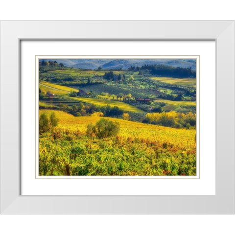 Italy-Chianti Vineyard in autumn in the Chianti region of Tuscany White Modern Wood Framed Art Print with Double Matting by Eggers, Julie
