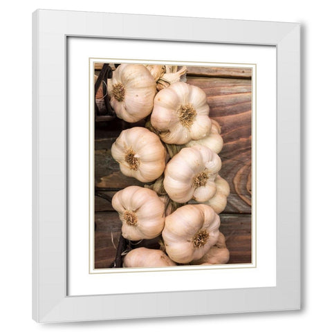 Italy-Chianti Garlic hanging in a meat shop in the town of Radda in Chianti White Modern Wood Framed Art Print with Double Matting by Eggers, Julie