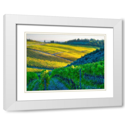 Italy-Chianti Vineyard in autumn in the Chianti region of Tuscany White Modern Wood Framed Art Print with Double Matting by Eggers, Julie