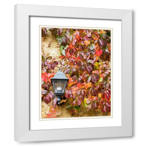 Italy-Chianti Climbing vine in fall colors and exterior lamp against a stone wall White Modern Wood Framed Art Print with Double Matting by Eggers, Julie