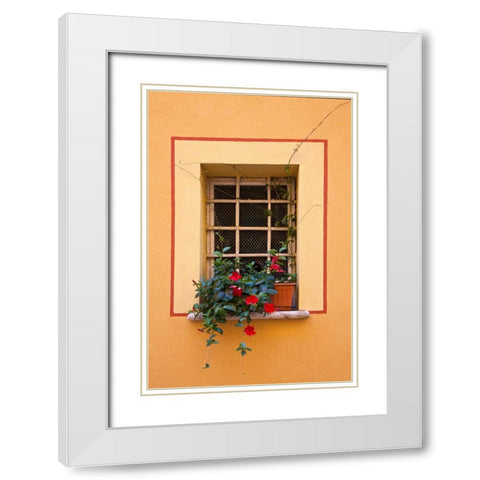 Italy-Tuscany-Montepulciano Potted plant on a windowsill in the hill town of Montepulciano White Modern Wood Framed Art Print with Double Matting by Eggers, Julie