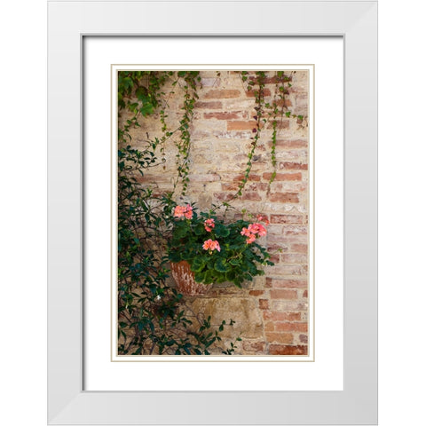 Italy-Tuscany-Montepulciano Geranium growing in a pot against an old brick building White Modern Wood Framed Art Print with Double Matting by Eggers, Julie