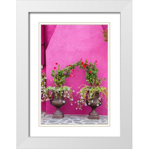 Italy-Venice-Burano Island Urns planted with flowers against a bright pink wall on Burano Island White Modern Wood Framed Art Print with Double Matting by Eggers, Julie