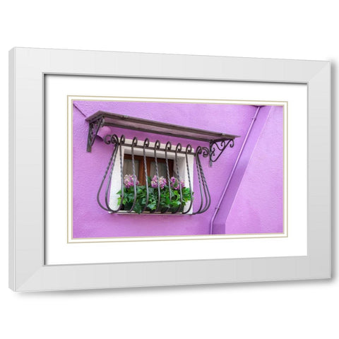 Italy-Venice-Burano Island Potted hydrangeas on a window sill of a lavender house White Modern Wood Framed Art Print with Double Matting by Eggers, Julie