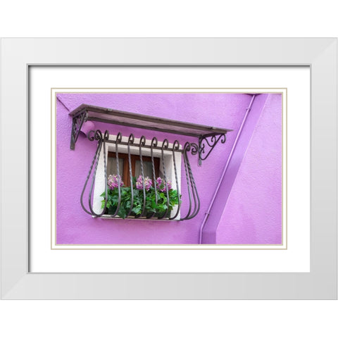 Italy-Venice-Burano Island Potted hydrangeas on a window sill of a lavender house White Modern Wood Framed Art Print with Double Matting by Eggers, Julie