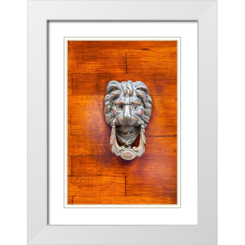 Italy-Venice-Burano Island Closeup of a lion head door knocker on a wooden door White Modern Wood Framed Art Print with Double Matting by Eggers, Julie