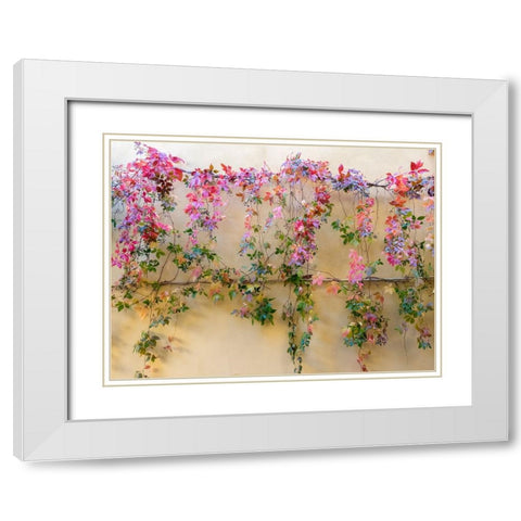 Italy-Tuscany-Pienza Colorful vines hanging on a wall along the streets White Modern Wood Framed Art Print with Double Matting by Eggers, Julie