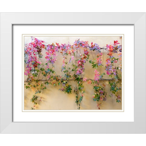 Italy-Tuscany-Pienza Colorful vines hanging on a wall along the streets White Modern Wood Framed Art Print with Double Matting by Eggers, Julie