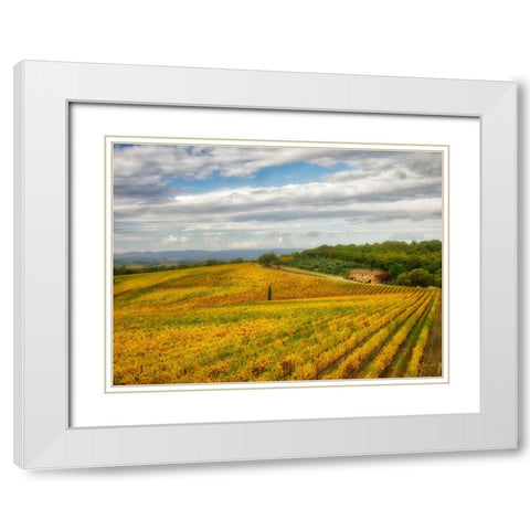 Italy-Tuscany Colorful vineyard in autumn White Modern Wood Framed Art Print with Double Matting by Eggers, Julie