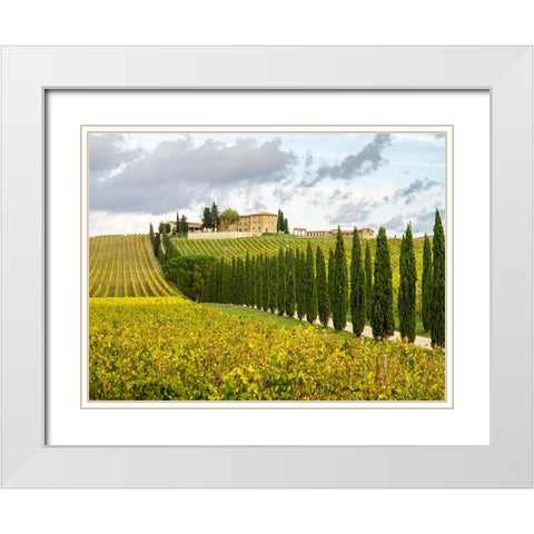 Italy-Tuscany Road lined with Italian cypress trees leading to a villa White Modern Wood Framed Art Print with Double Matting by Eggers, Julie