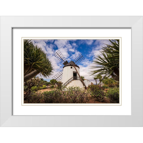 Canary Islands-Fuerteventura Island-Antigua-traditional island windmill White Modern Wood Framed Art Print with Double Matting by Bibikow, Walter