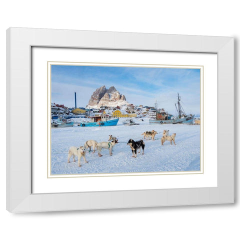 Team of sled dog during winter in Uummannaq in Greenland White Modern Wood Framed Art Print with Double Matting by Zwick, Martin