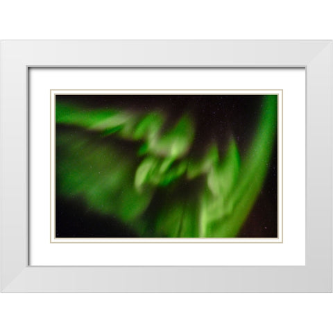 Northern lights over Angmagssalik Fjord-Greenland- Danish Territory White Modern Wood Framed Art Print with Double Matting by Zwick, Martin