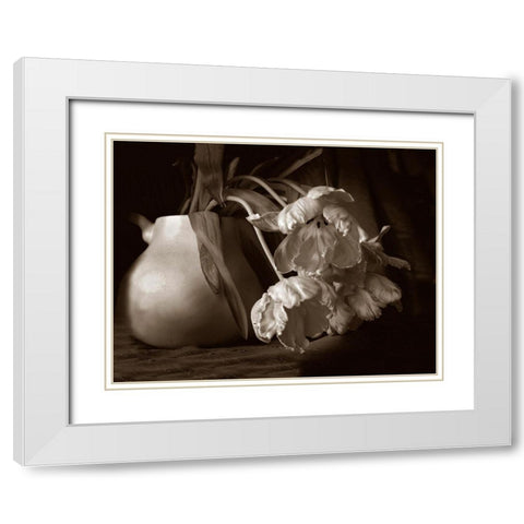 Sepia tone Tulips White Modern Wood Framed Art Print with Double Matting by Miller, Anna